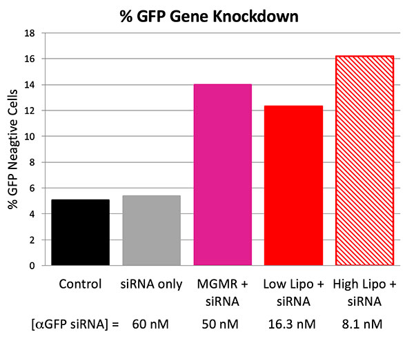 siRNA Delivery