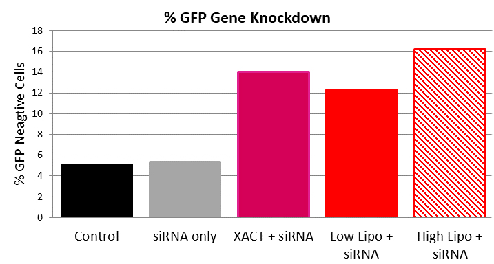 siRNA Delivery